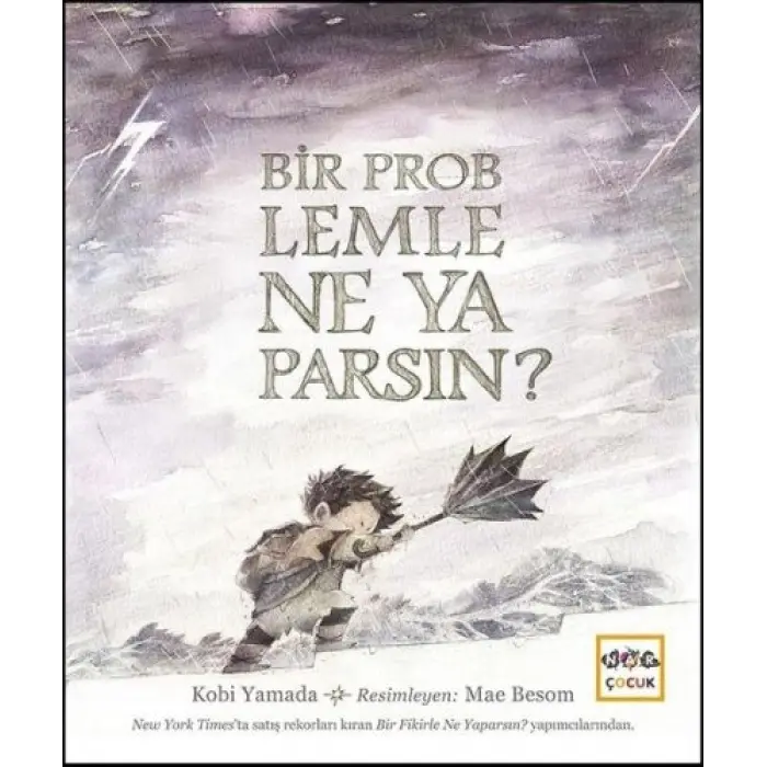 Bir Problemle Ne Yaparsın? (Ciltli)