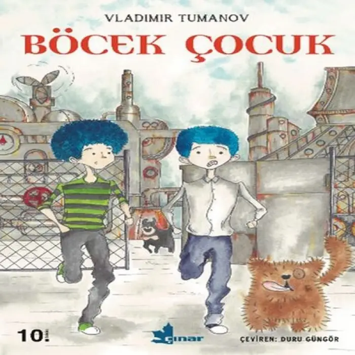 Böcek Çuk