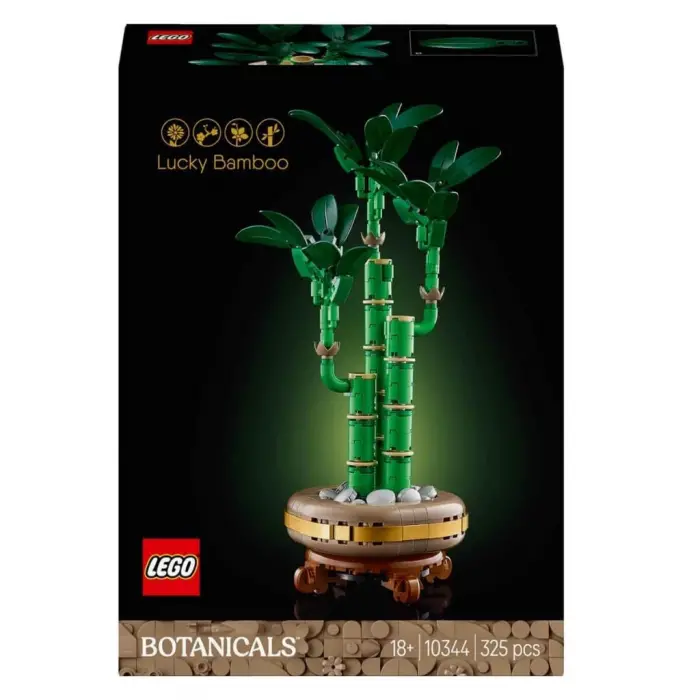 Botanicals Şans Bambusu 10344