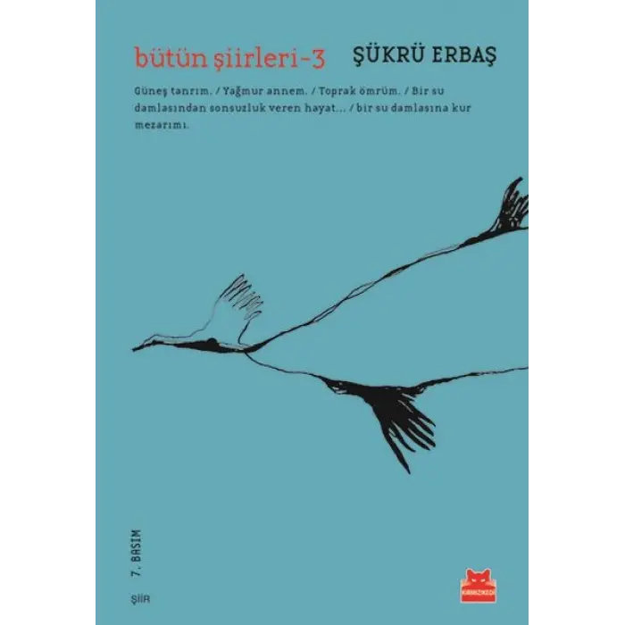 Bütün Şiirleri 3