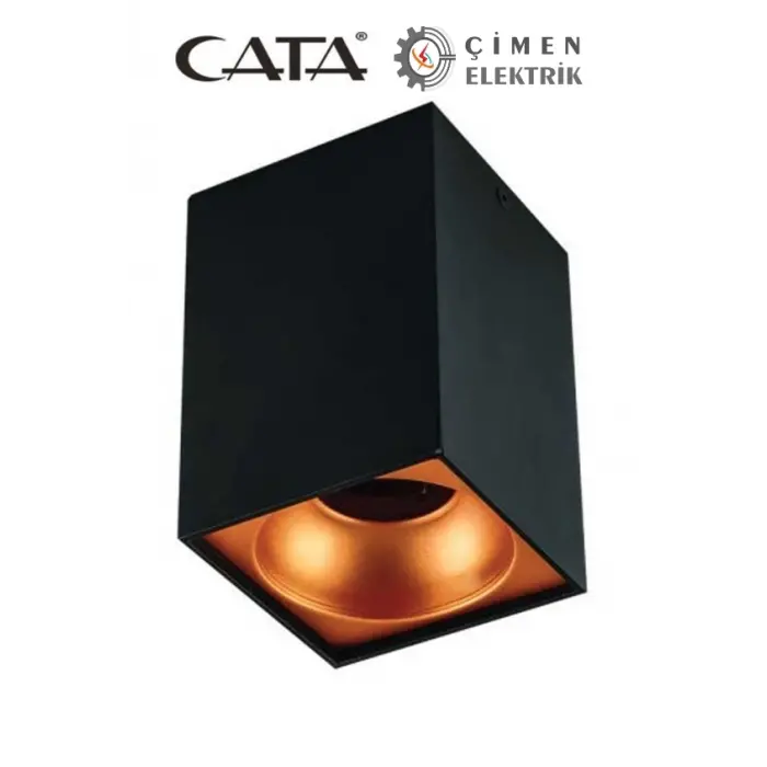 CATA CT 5420 Siyah Bakır Dekoratif Spot Kasa G-10 Duy