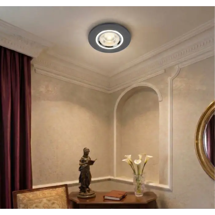 CATA CT 6646 Zambak Dekoratif Kristal Cam Spot Kasası