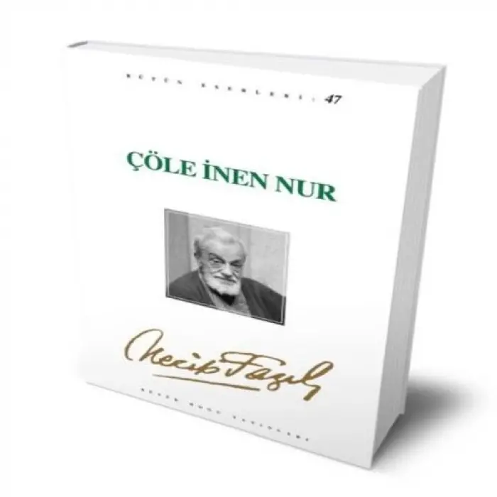 Çöle İnen Nur