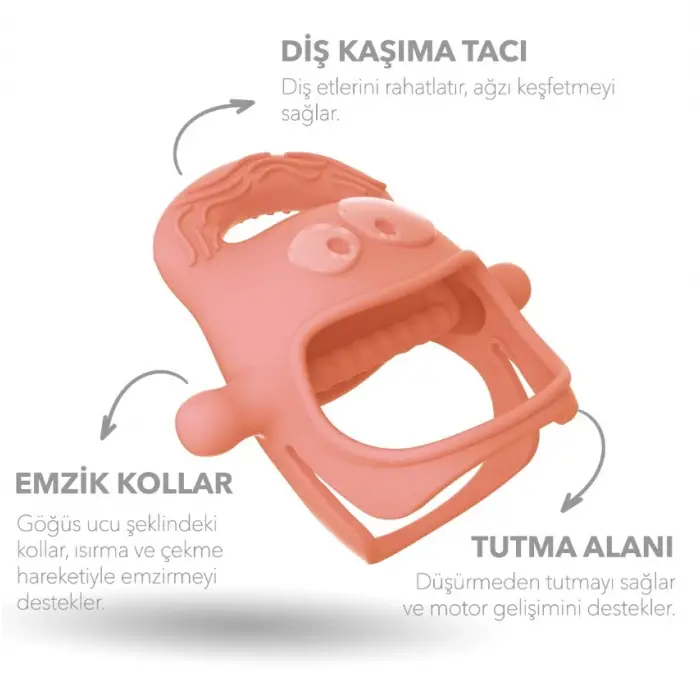 Diş Kaşıyıcı Somon
