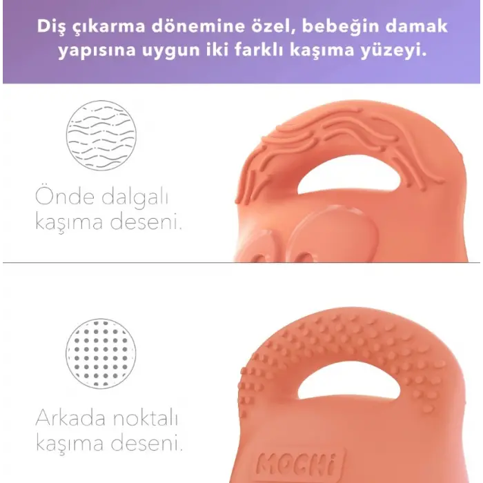Diş Kaşıyıcı Somon
