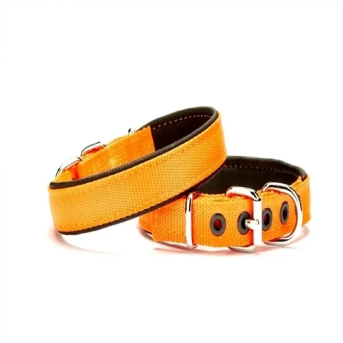 Dokuma Softlu Köpek Boyun Tasması 2 cm x 45 cm Tcu