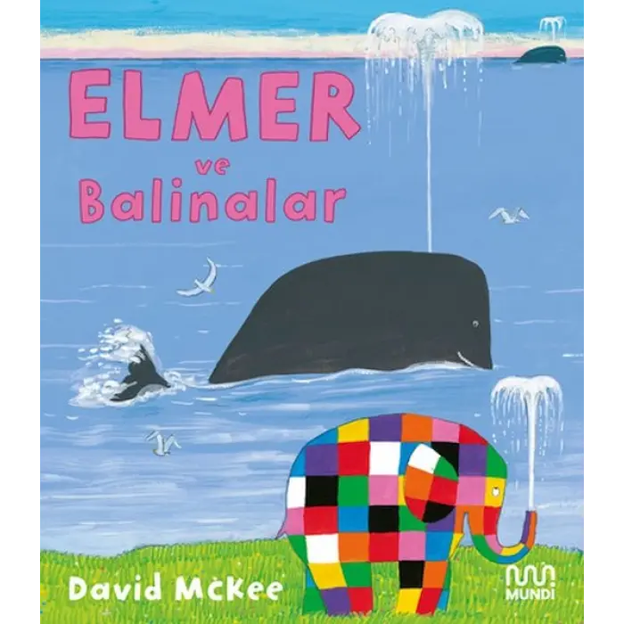 E ve Balinalar