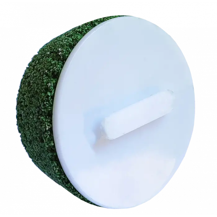 Elma Aromalı Kuşlar İçin Mineral Blok 100 gr