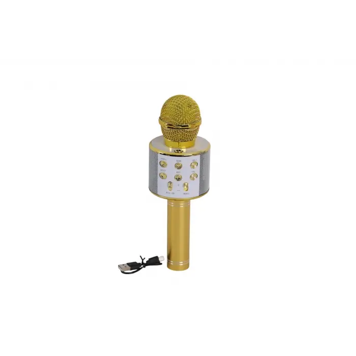 EMR-101 KUTULU KARAOKE MİKROFON