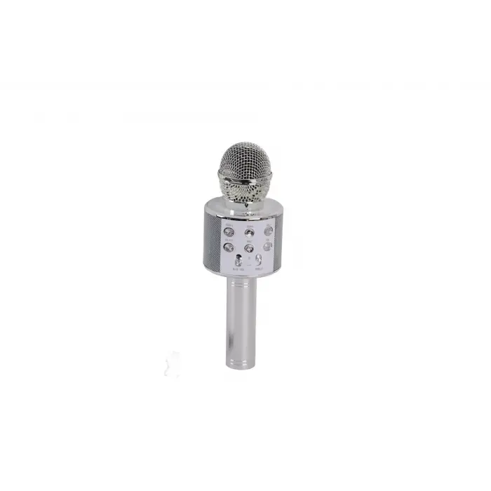 EMR-101 KUTULU KARAOKE MİKROFON