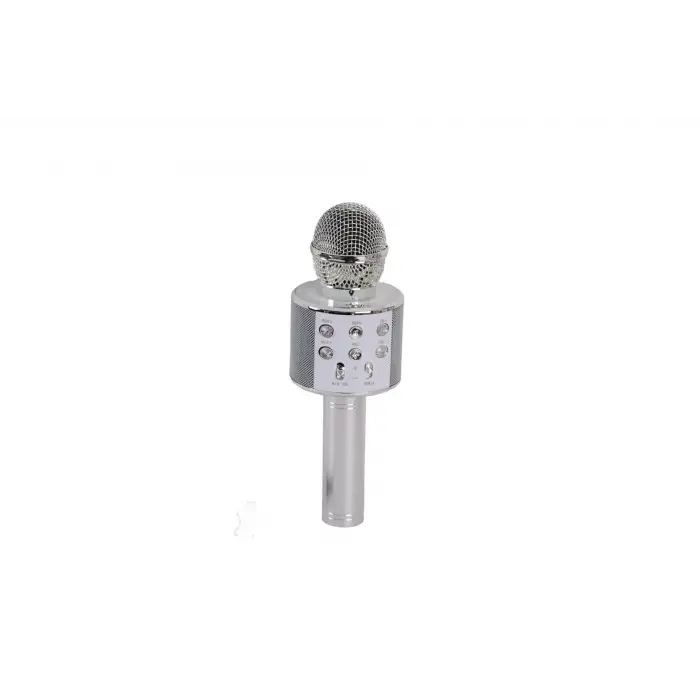 EMR-101 KUTULU KARAOKE MİKROFON