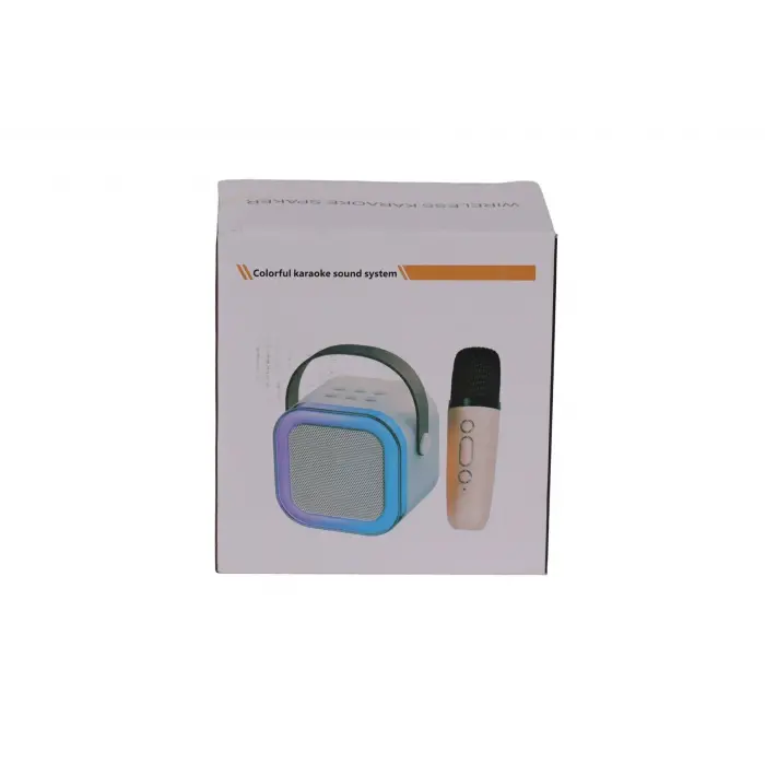 EMR-102 KUTULU 2Lİ KARAOKE MİKROFON