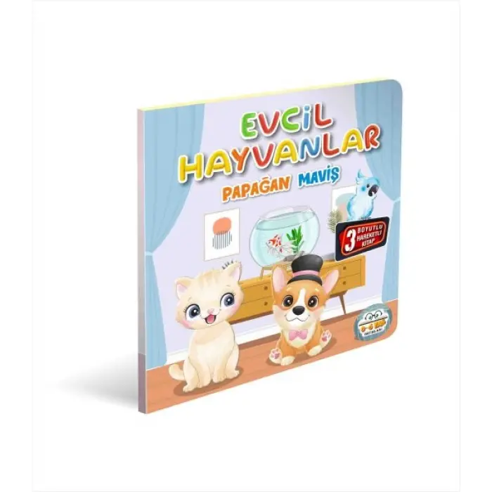 Evcil Hayvanlar Papağan Miş 3 Boyutlu