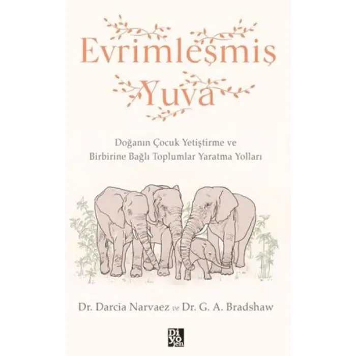 Evrimleşmiş Yuva