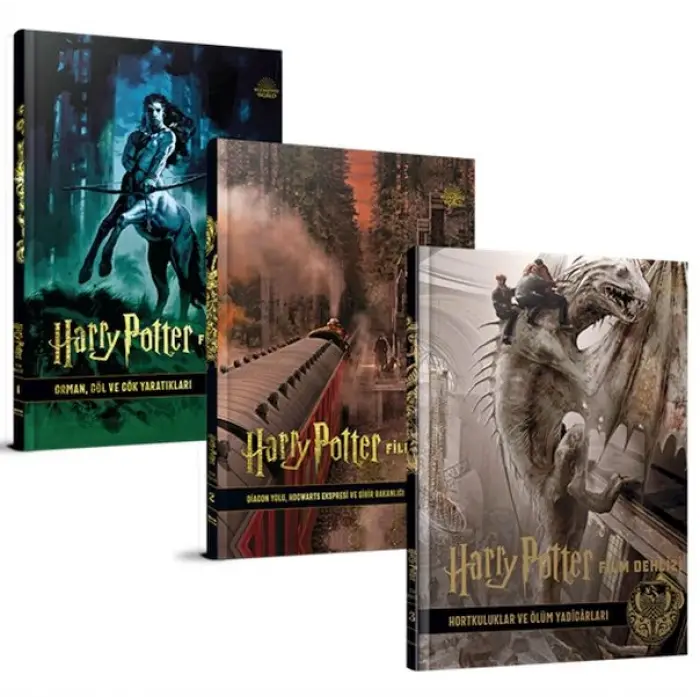 Harry Potter Film Dehlizi Serisi 3  Takım ( Karton Kapak)