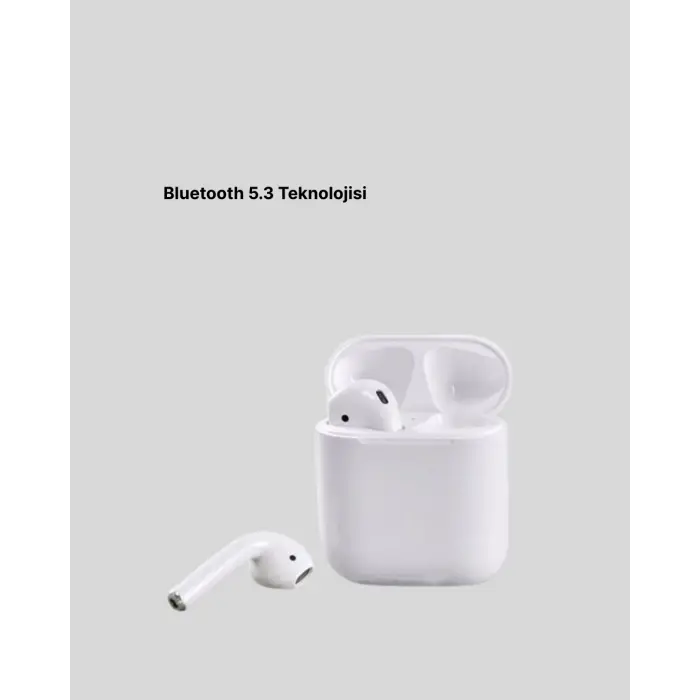Hızlı Şarj Destekli 2. Nesil Bluetooth 5.0 Ergonomik Kulaklık