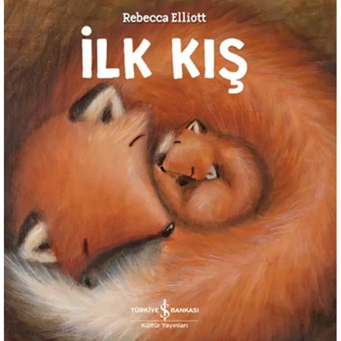 İlk Kış