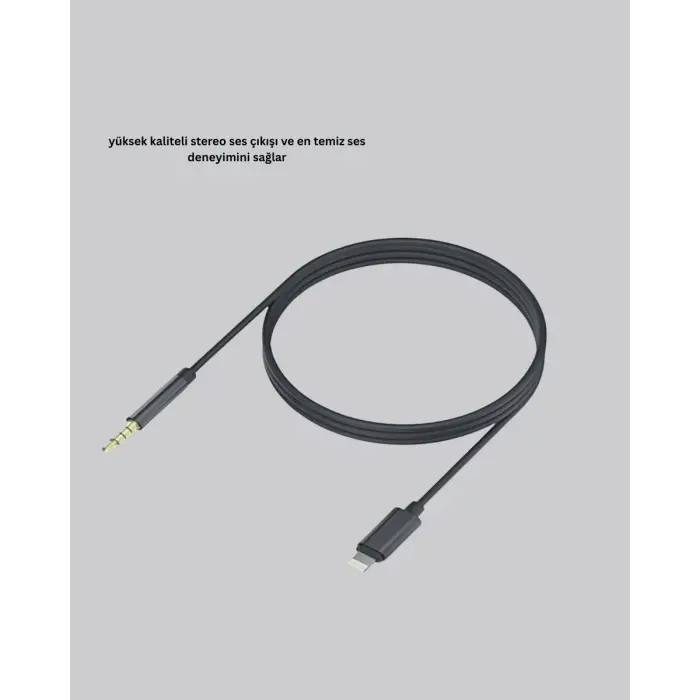 İPHONE AUX
