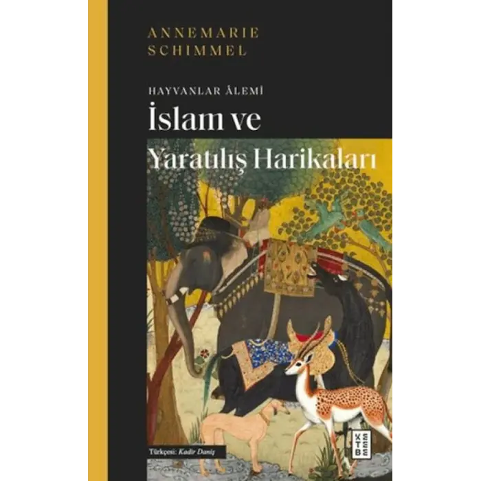 İslam ve tılış Harikaları