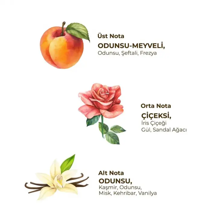 Kadın Roll On Deodorant 75 ml Soft