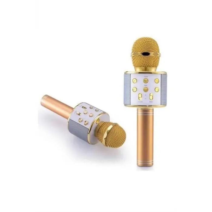 Karaoke Mikrofon Dahili Hoparlörlü Sd-usb-aux Girişli Bluetooth Hoparlör
