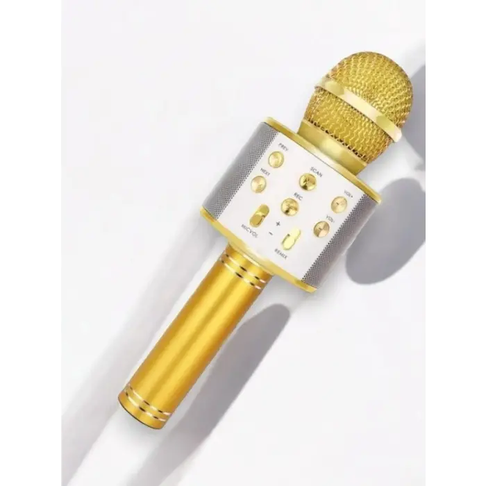 KAREOKE  MIKROFON
