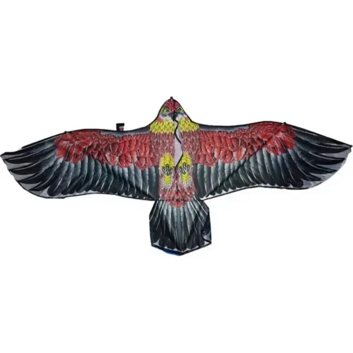 Kartal Uçurtma