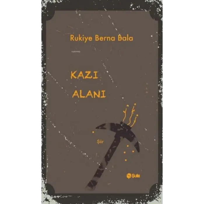 Kazı Alanı