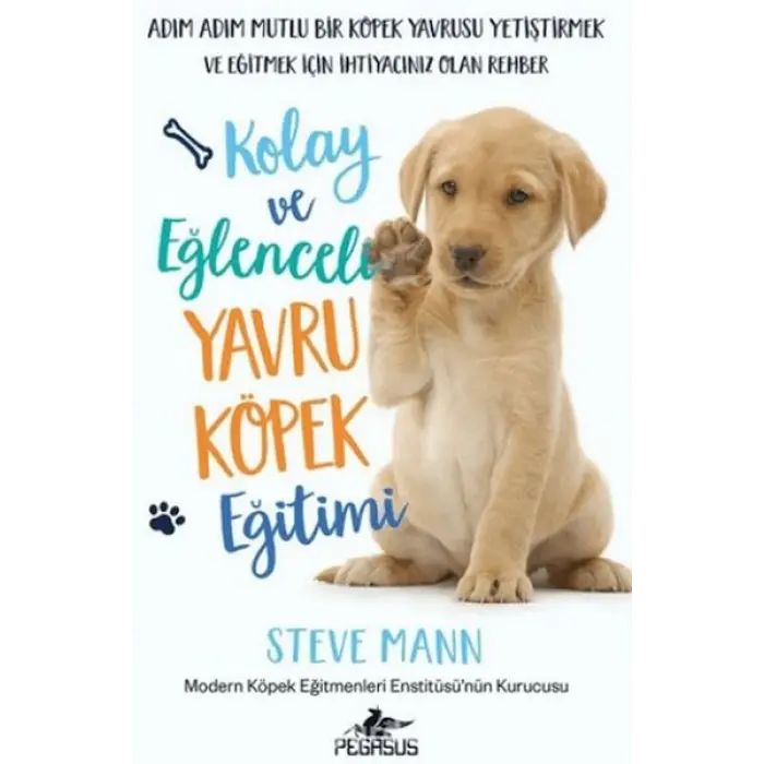Kolay ve Eğlenceli Yru Köpek Eğitimi