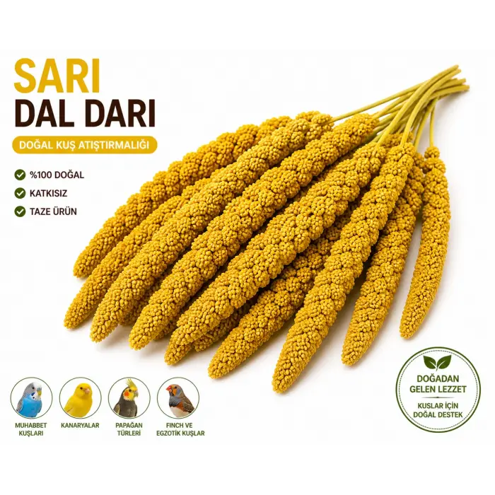 Kuşlar İçin Doğal Sarı Dal Darı 100 gr