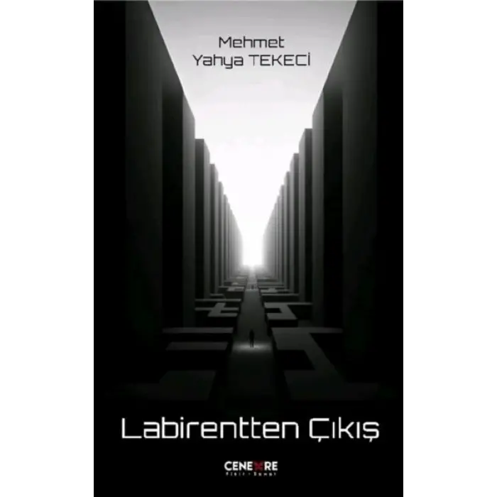 Labirentten Çıkış