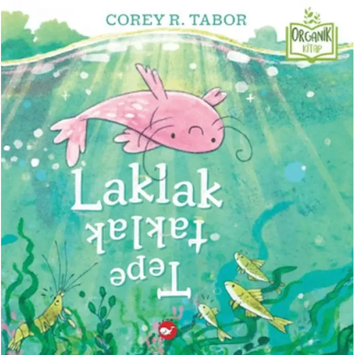 Laklak Tepetaklak (Organik )