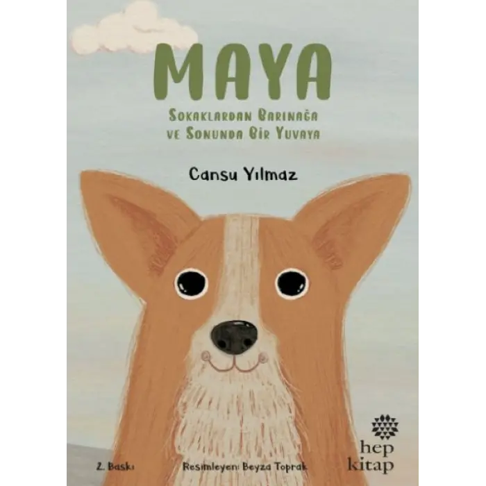 Maya - Sokaklardan Barınağa ve Sonunda Bir Yuvaya