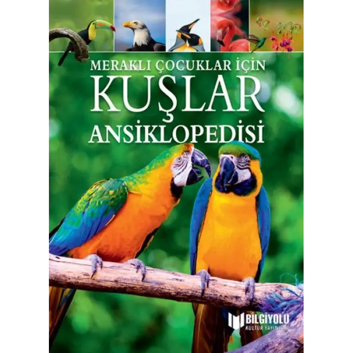 Meraklı Çuklar İçin Kuşlar Ansiklopedisi