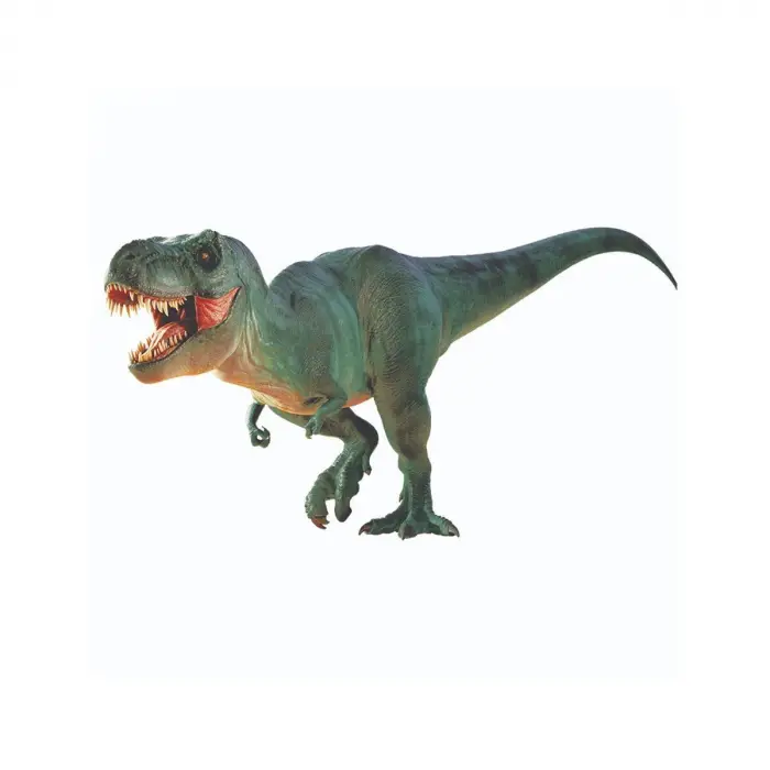 NAT06002  Dino Kazı Kiti - RTNGDINO2 +8 yaş