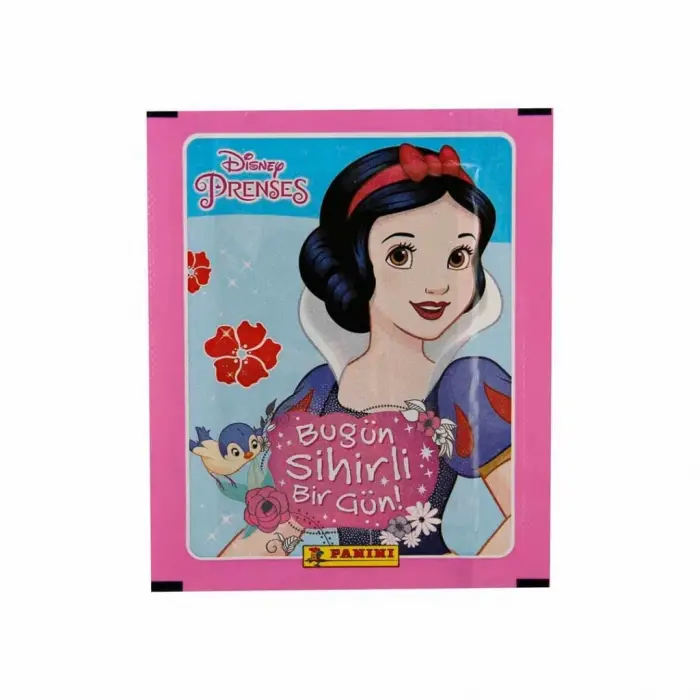 NessiWorld Princess Çıkartma Kartları