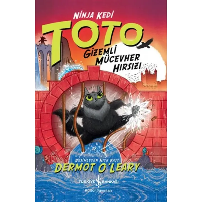 Ninja Kedi Toto –  Mücevher Hırsızı