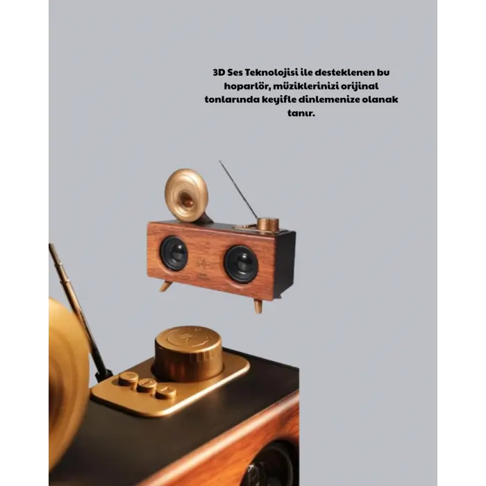 Nostaljik Gramofon Bluetooth Hoparlör – FM Radyo + USB + SD Kart Destekli