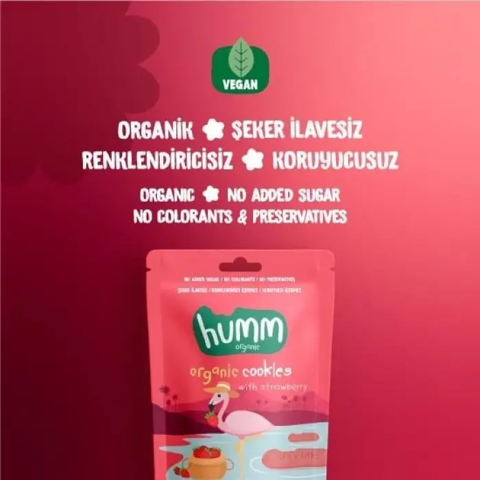 Organik Vegan Çilekli Kurabiye 55 Gr