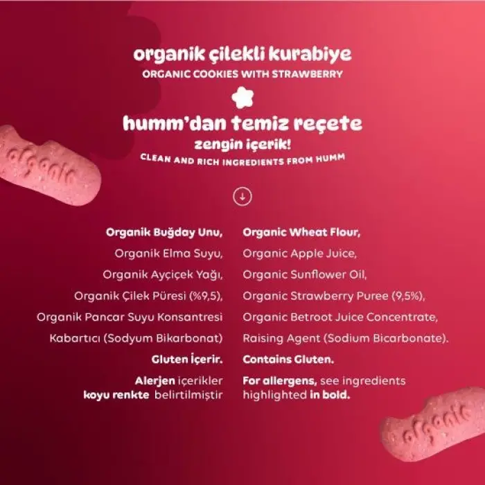 Organik Vegan Çilekli Kurabiye 55 Gr