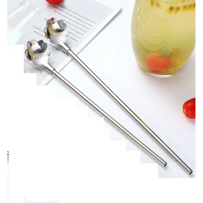 Paslanmaz Metal 2 li Kaşıklı Pipet Fırça Seti