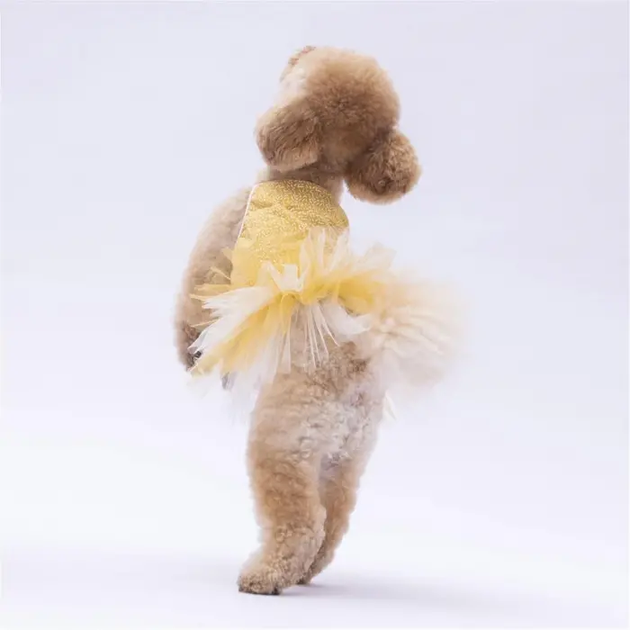 PawStar Yellow Polka-Dot XL 34 x 38 x 55 cm