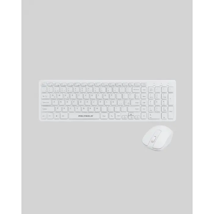 PG-8040 KLAVYE VE MOUSE SETİ