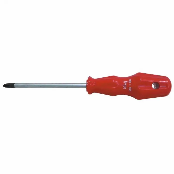 Pro-Scr 02581 Yıldız Uçlu Tornida 6X100 mm