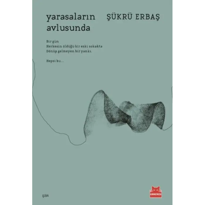 saların lusunda