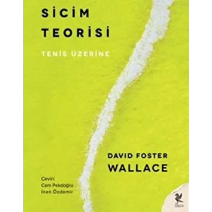 Sicim Teorisi
