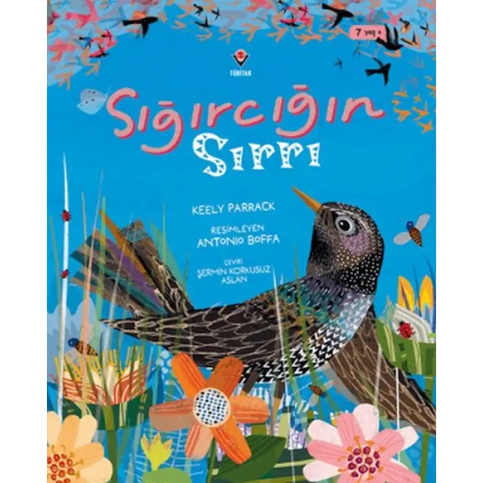 Sığırcığın Sırrı