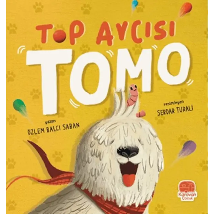 Top cısı Tomo