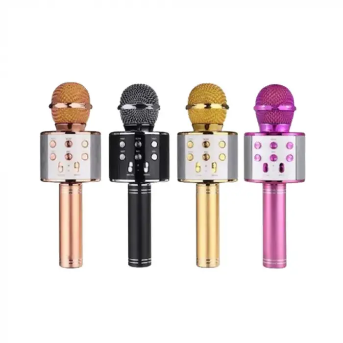 WS-858 Ses Değiştirmeli Karaoke Mikrofon
