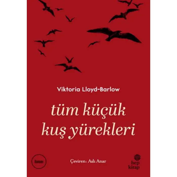 Tüm Küçük Kuş Yürekleri
